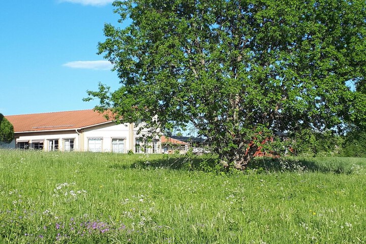 Property Grounds 20 of 28