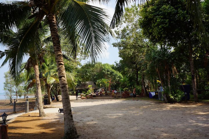 Beach 65 of 78