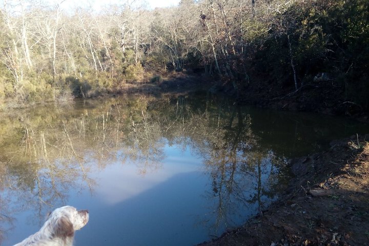 Property Grounds 45 of 58