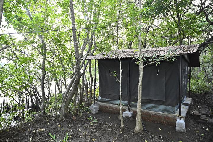 Room 6 of 60
