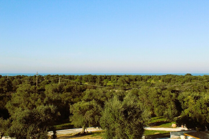 Hotel View 39 of 39