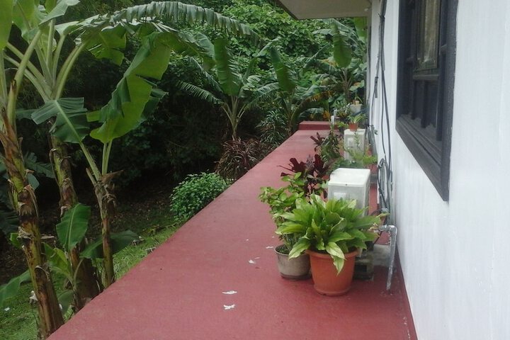 Terrace/Patio 88 of 107