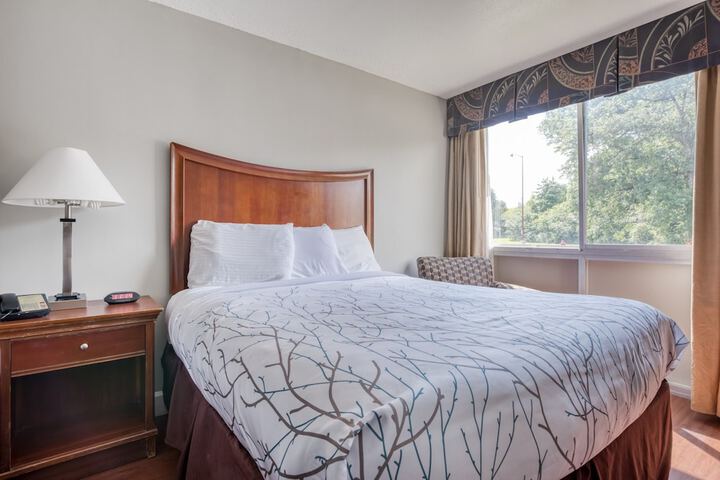 2 Queen Beds (3 of 12)