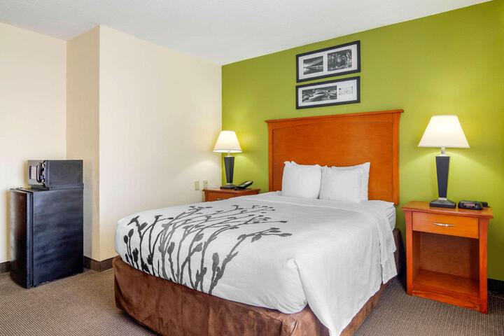 1 Queen Bed (7 of 16)