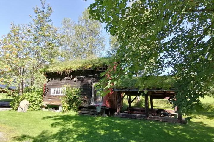 General 5 of 17