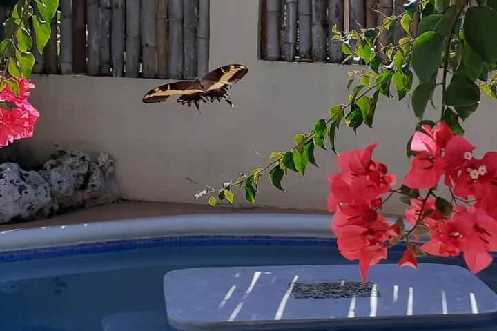 Pool 38 of 49