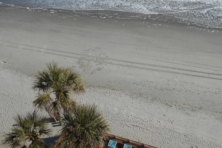 Beach 10 of 15