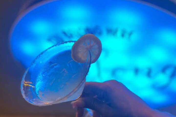Pool 54 of 103