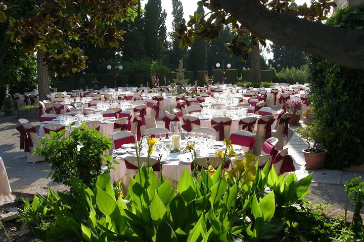 Outdoor wedding area