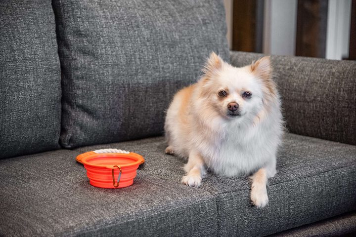 Hotel Interior 5 of 72