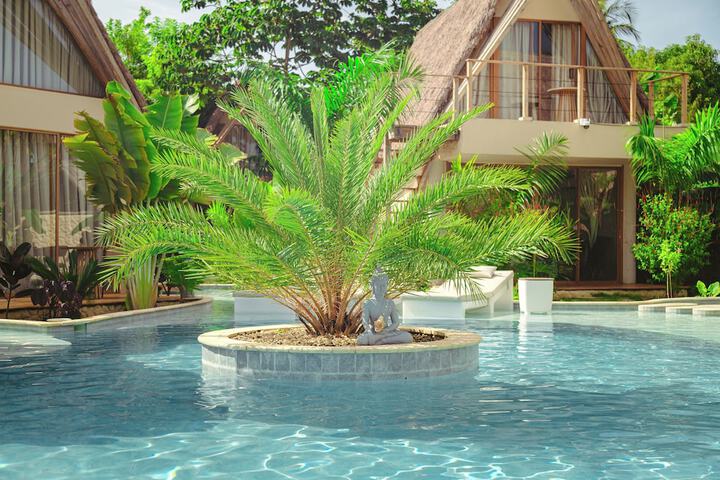 Pool 65 of 75