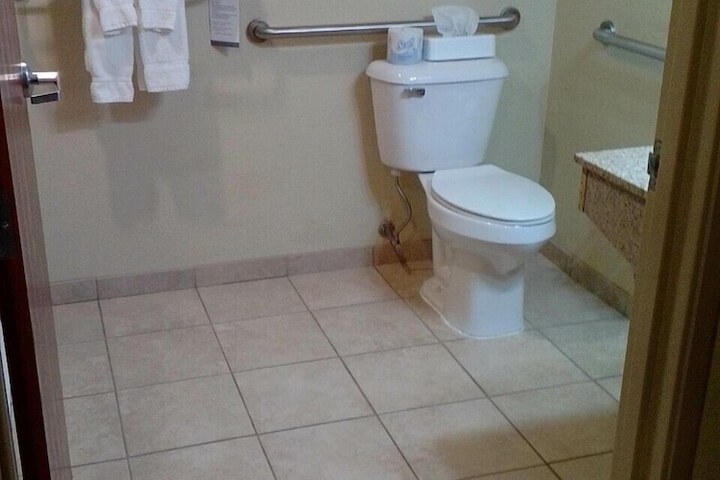 Accessible 1 King Accessible Roll in Shower Microwave and Refrigerator WiFi Continental Breakfast (5 of 6)