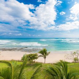 General 1 of 323