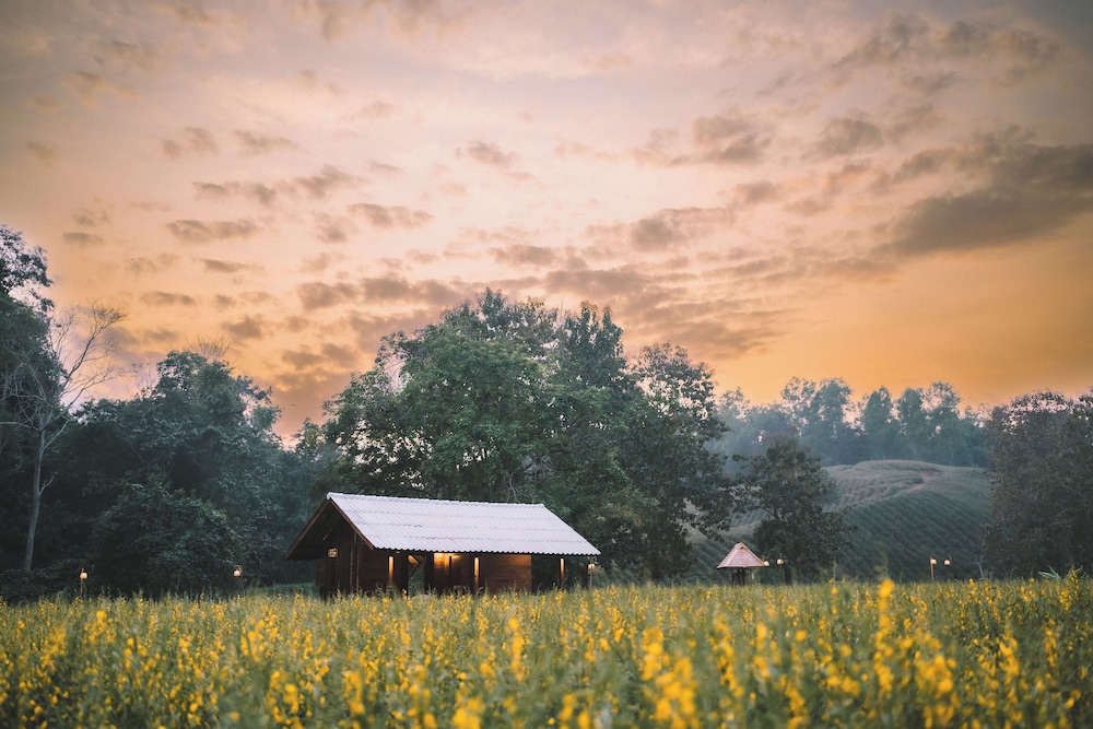 General 67 of 126