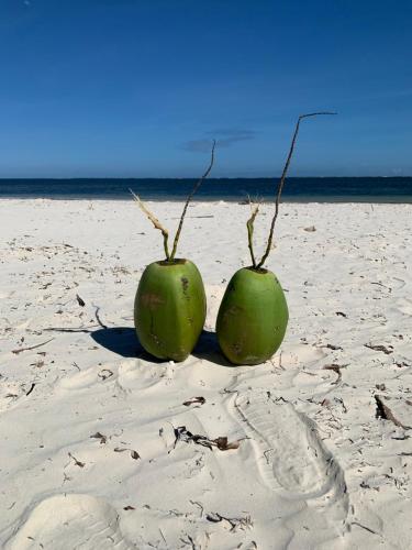 Mombasa Bamburi Beach Studio B11 - Pool & Beach - Sleeps 3