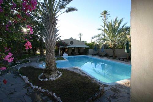 Fort Sesfontein Lodge & Safaris