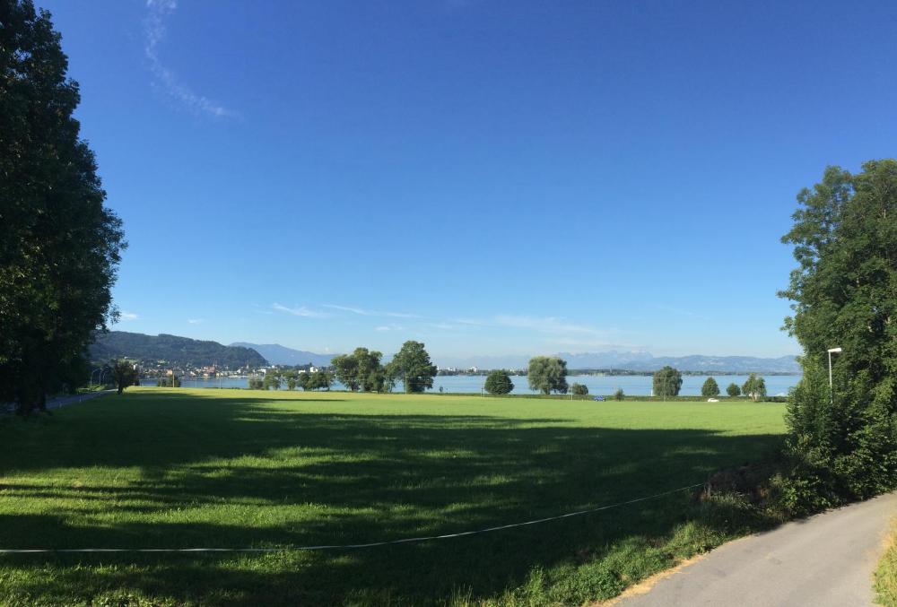 General 19 of 36