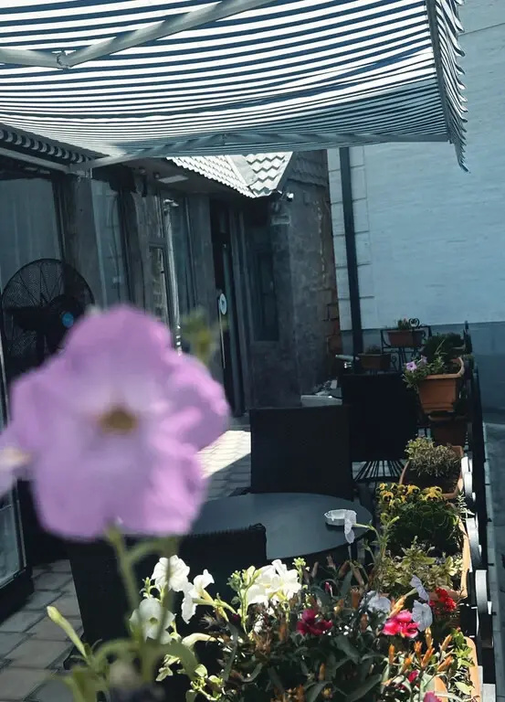 General 6 of 37