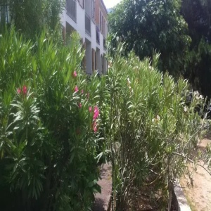 Residence a Punta