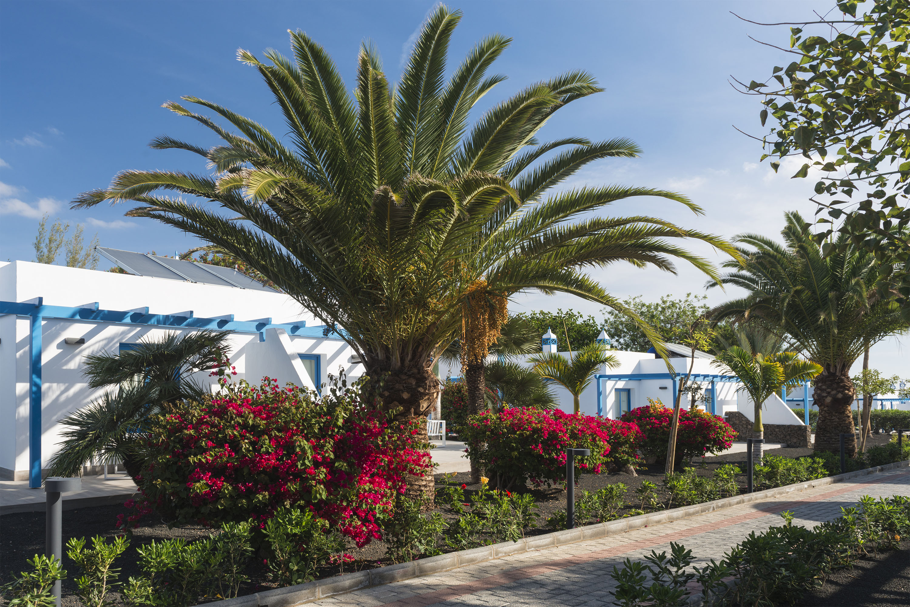 Photo of Elba Lanzarote Royal Village Resort