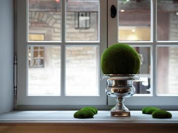General 137 of 267