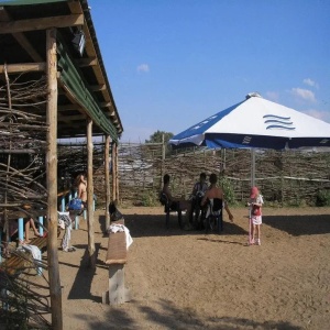 Tri Peskarya Hotel