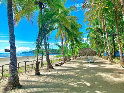 Oasis Surf Camp