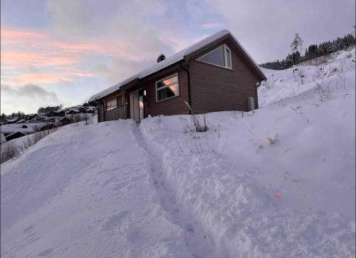 Exterior of Fjellsporthytta nr. 4
