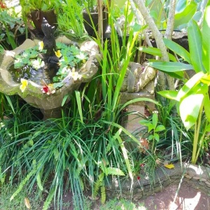 Eustace Place Bali