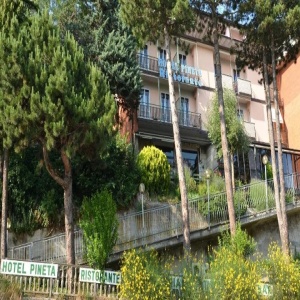 Hotel Pineta