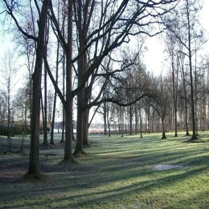 Tamminiemi Lomakeskus