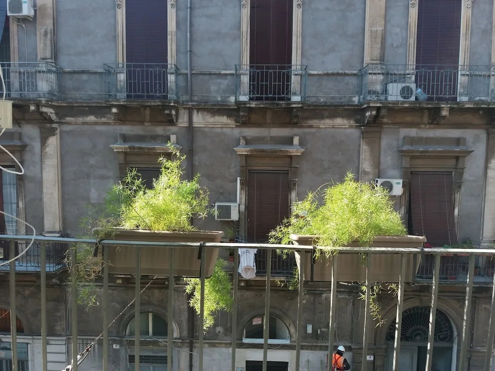 I Loft Di Elvira