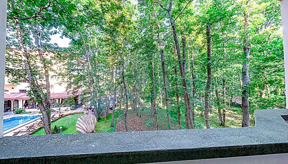 General 17 of 59