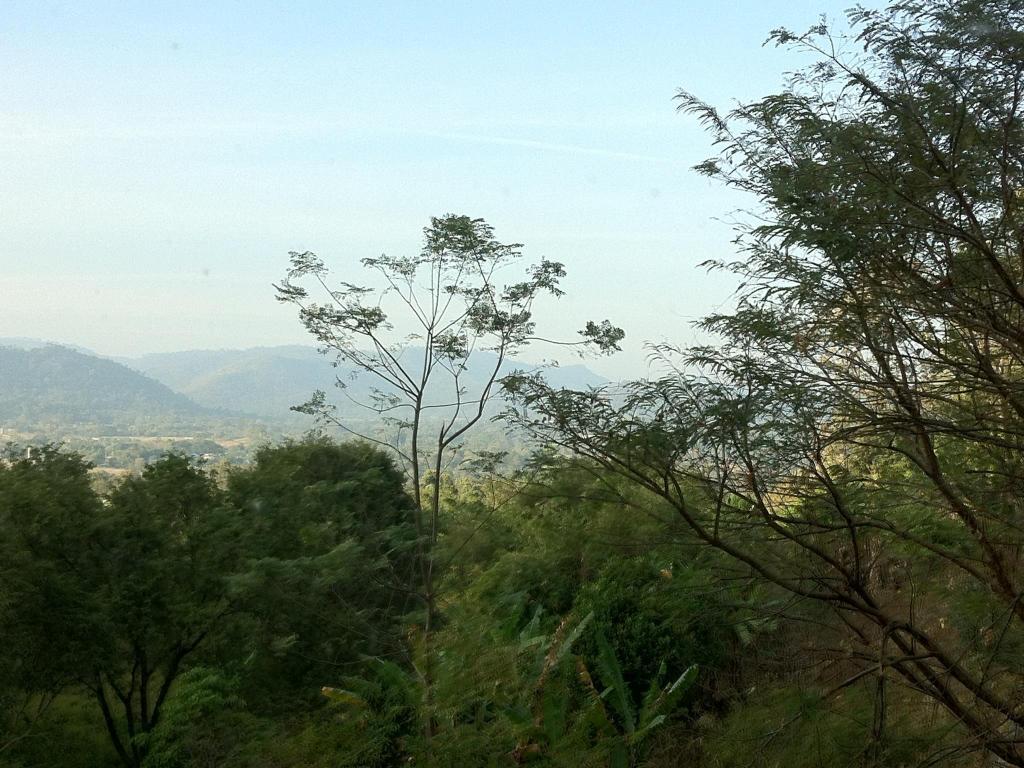 Baan Tildao Pround Fah / Exotic room on a hill