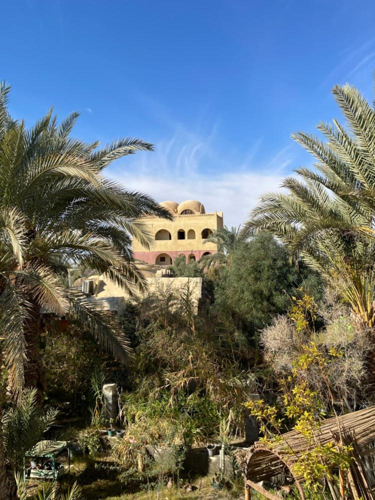 Ahmed Safari Camp & hotel