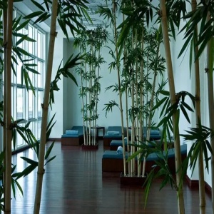 Hotel Oguzkent