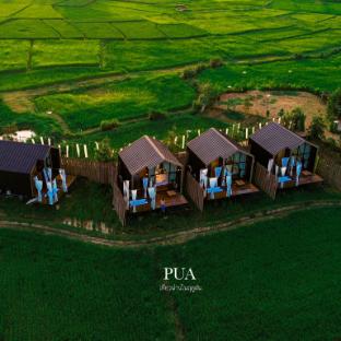 Photo of The field at pua