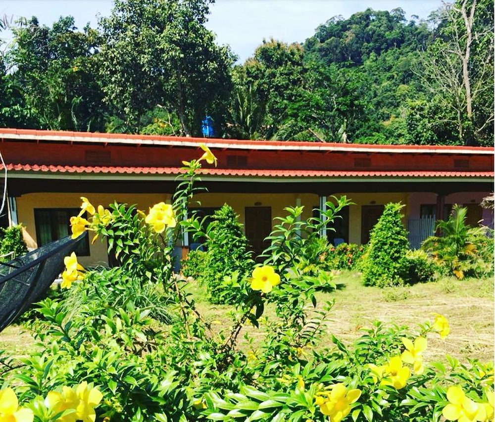 Saipali Jungle Views