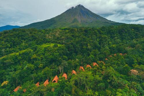 Image of Amor Arenal Adults Friendly