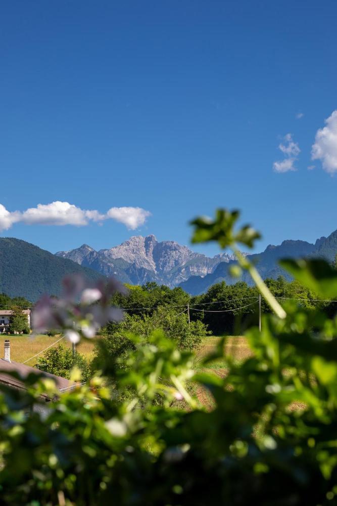 General 8 of 62