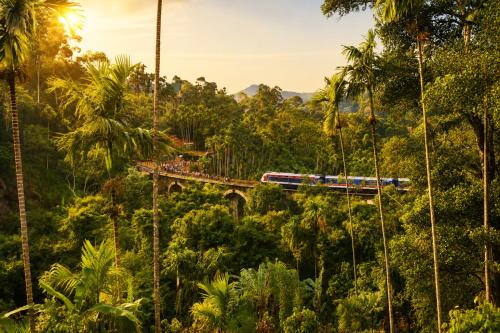 Nine Arch Jungle Inn