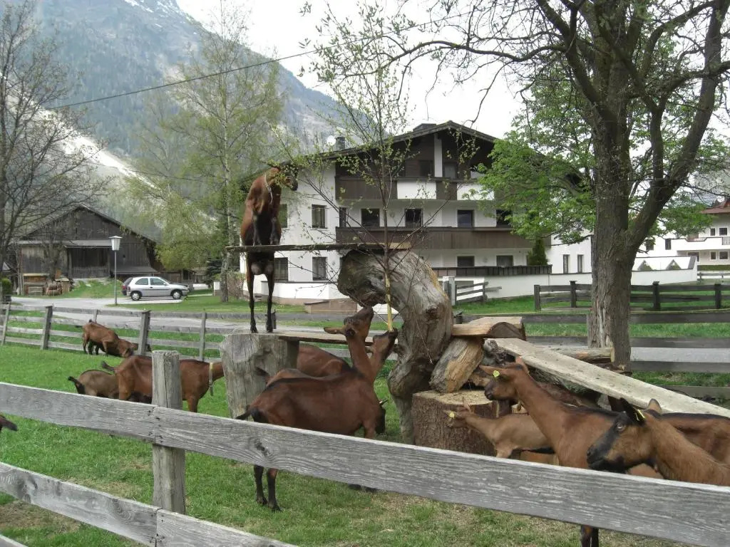 General 11 of 28