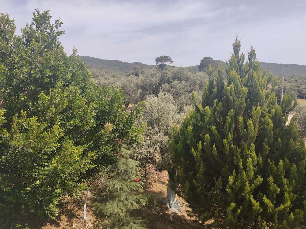 General 5 of 42