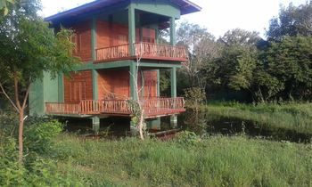 Jiwes Hideout Forest Region