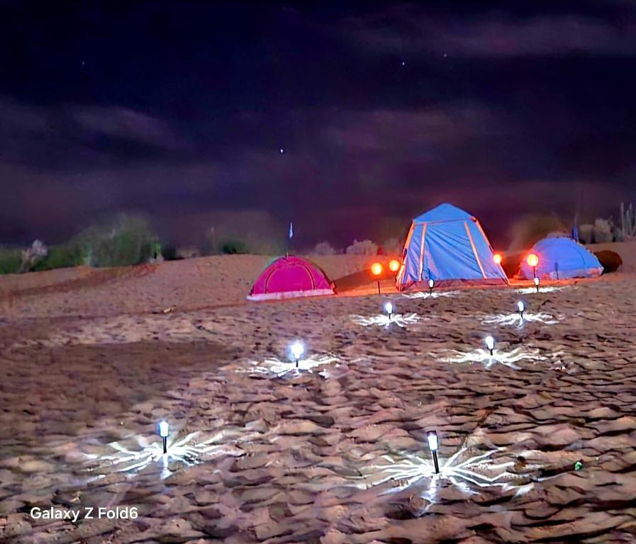 Star view desert camp