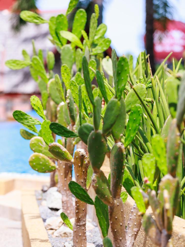 General 97 of 173