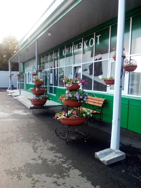 Hotel Kniiekot