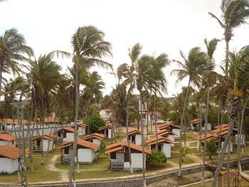 Marina Barro Preto