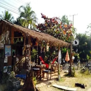Black Cats Vacation Rental