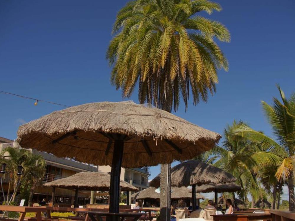 General 290 of 335